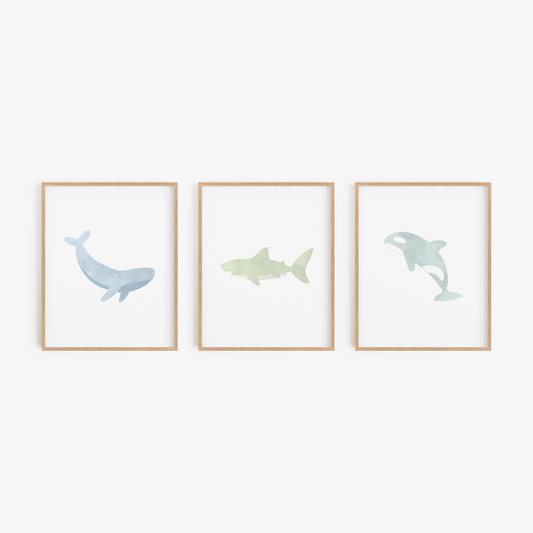 Blue whale shark and orca framed wall art