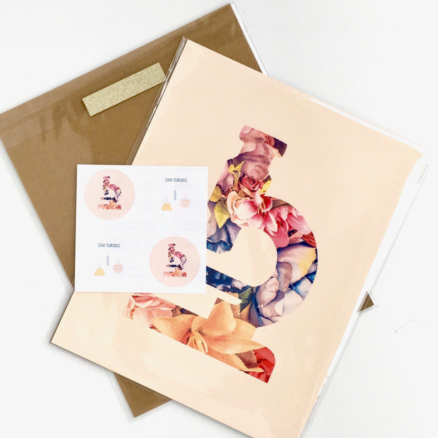 Blush Floral Science Art Prints (Set of 2)