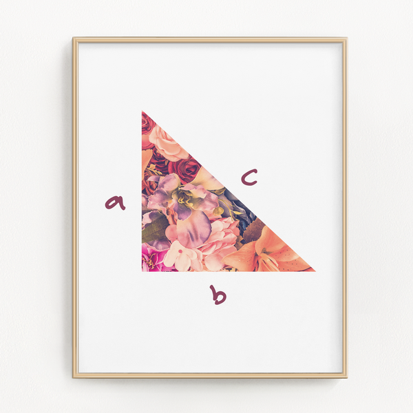 Floral Math Art Prints (Set of 3)