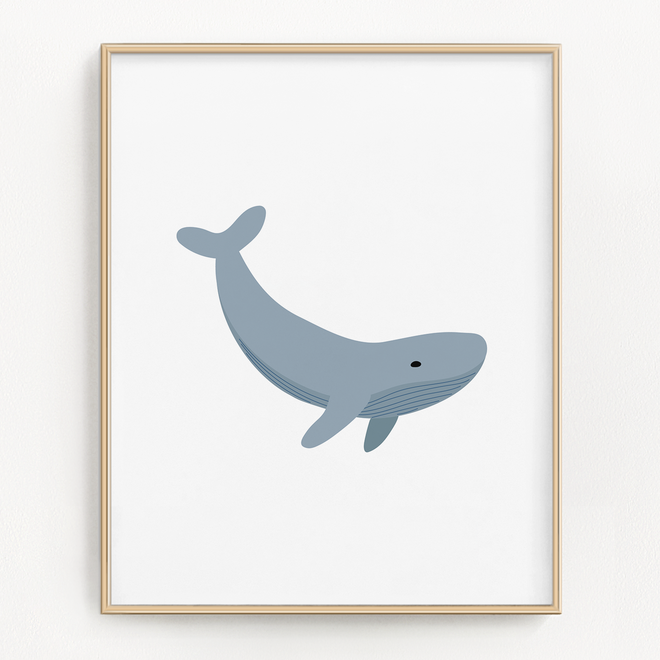 Ocean Animals