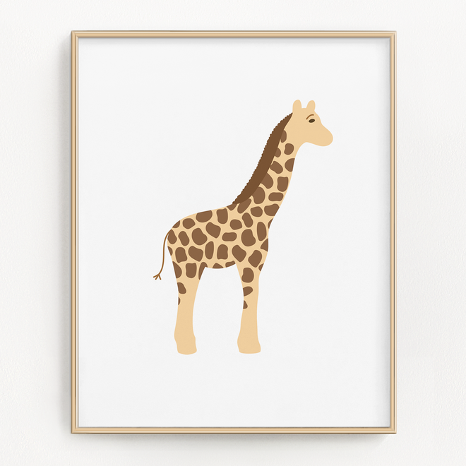 Safari Animals