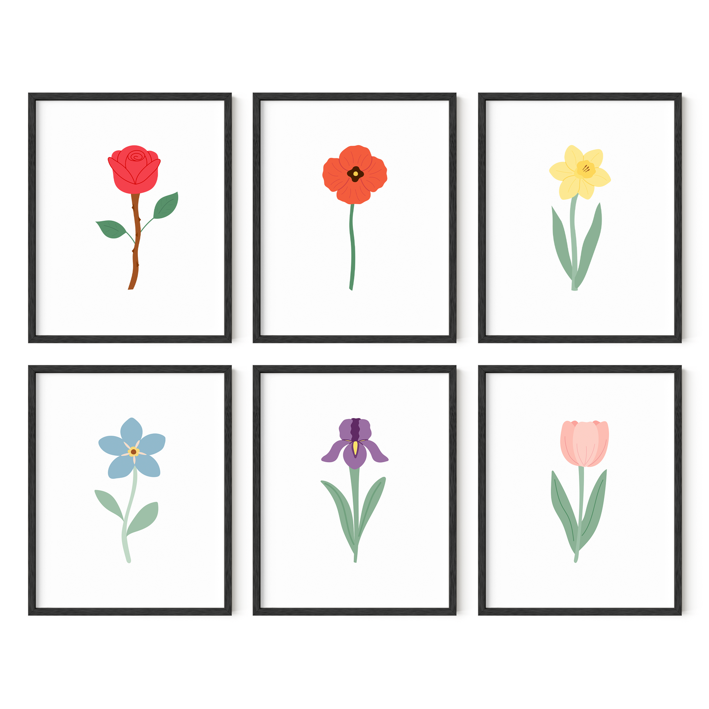 Colorful Floral Art Prints (Set of 6)