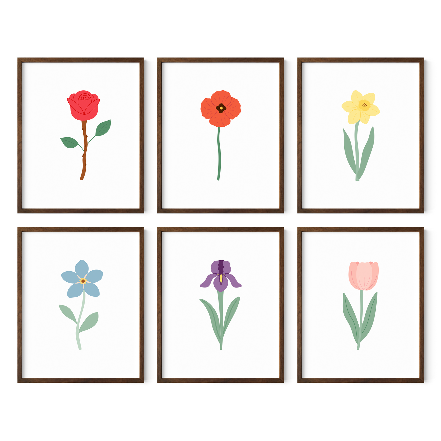 Colorful Floral Art Prints (Set of 6)