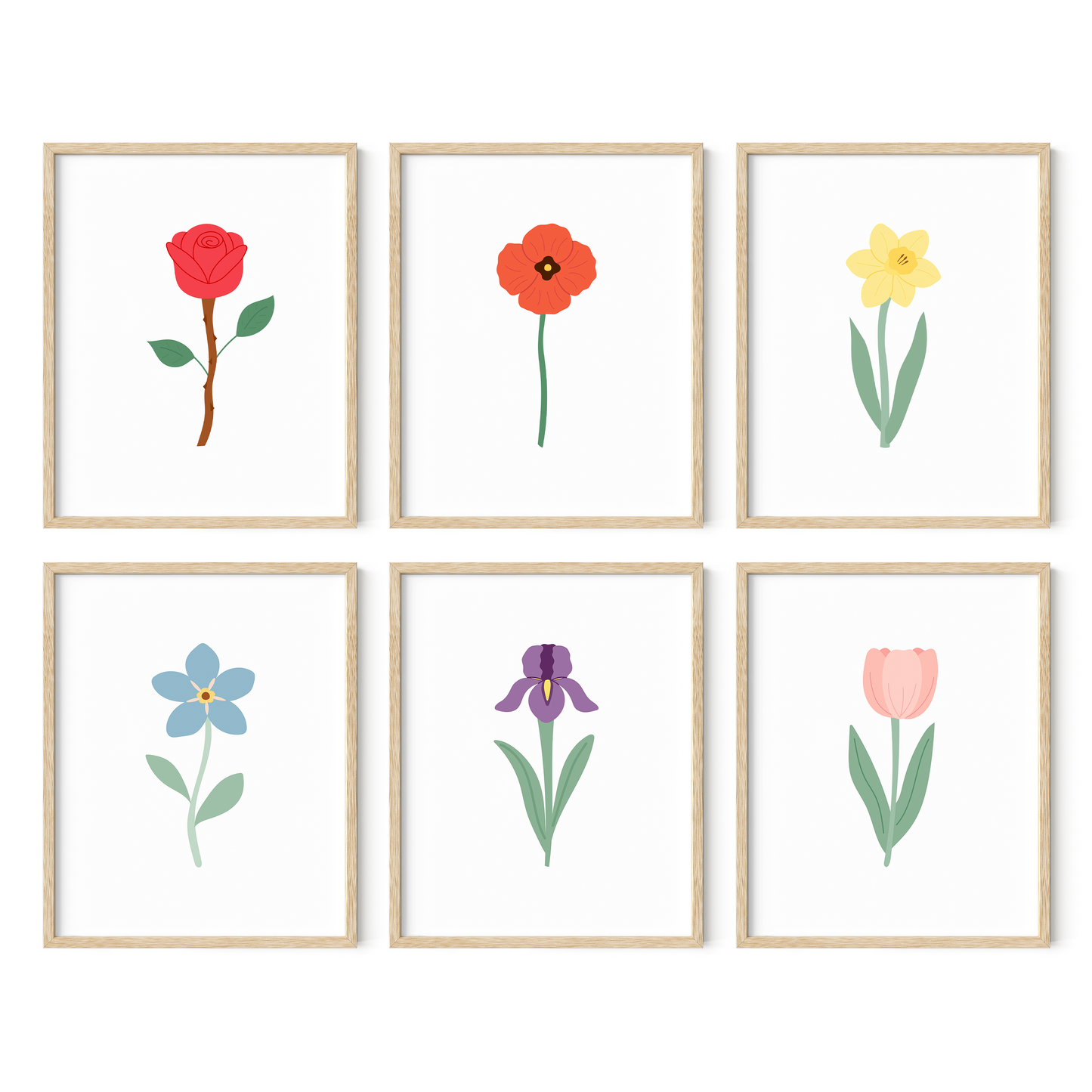 Colorful Floral Art Prints (Set of 6)