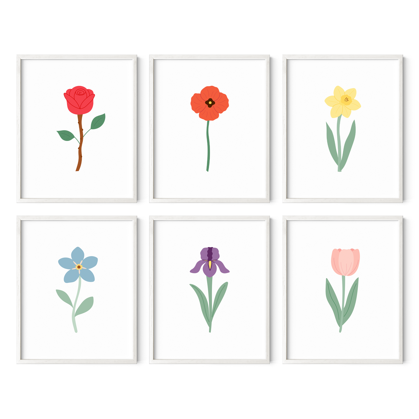 Colorful Floral Art Prints (Set of 6)