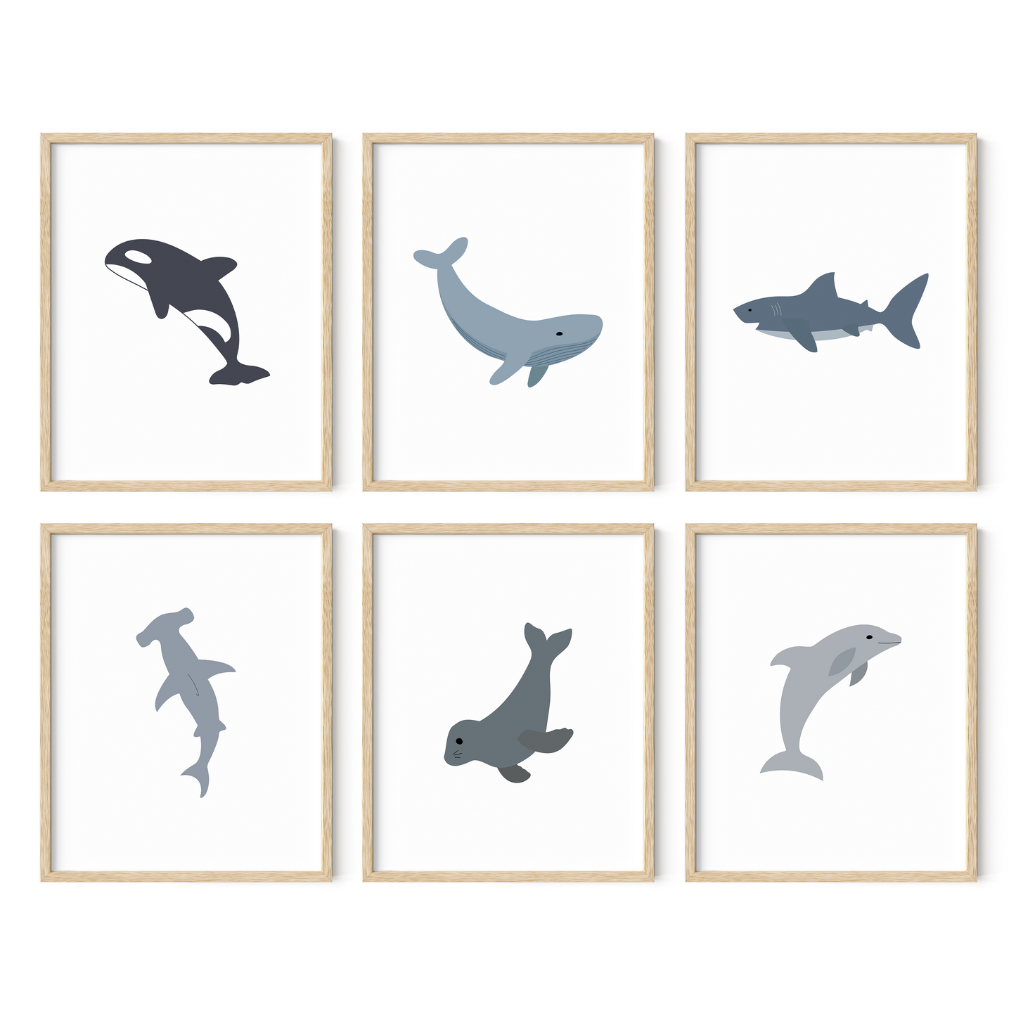 Framed sea animal wall art set of six