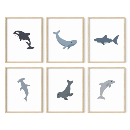 Framed sea animal wall art set of six