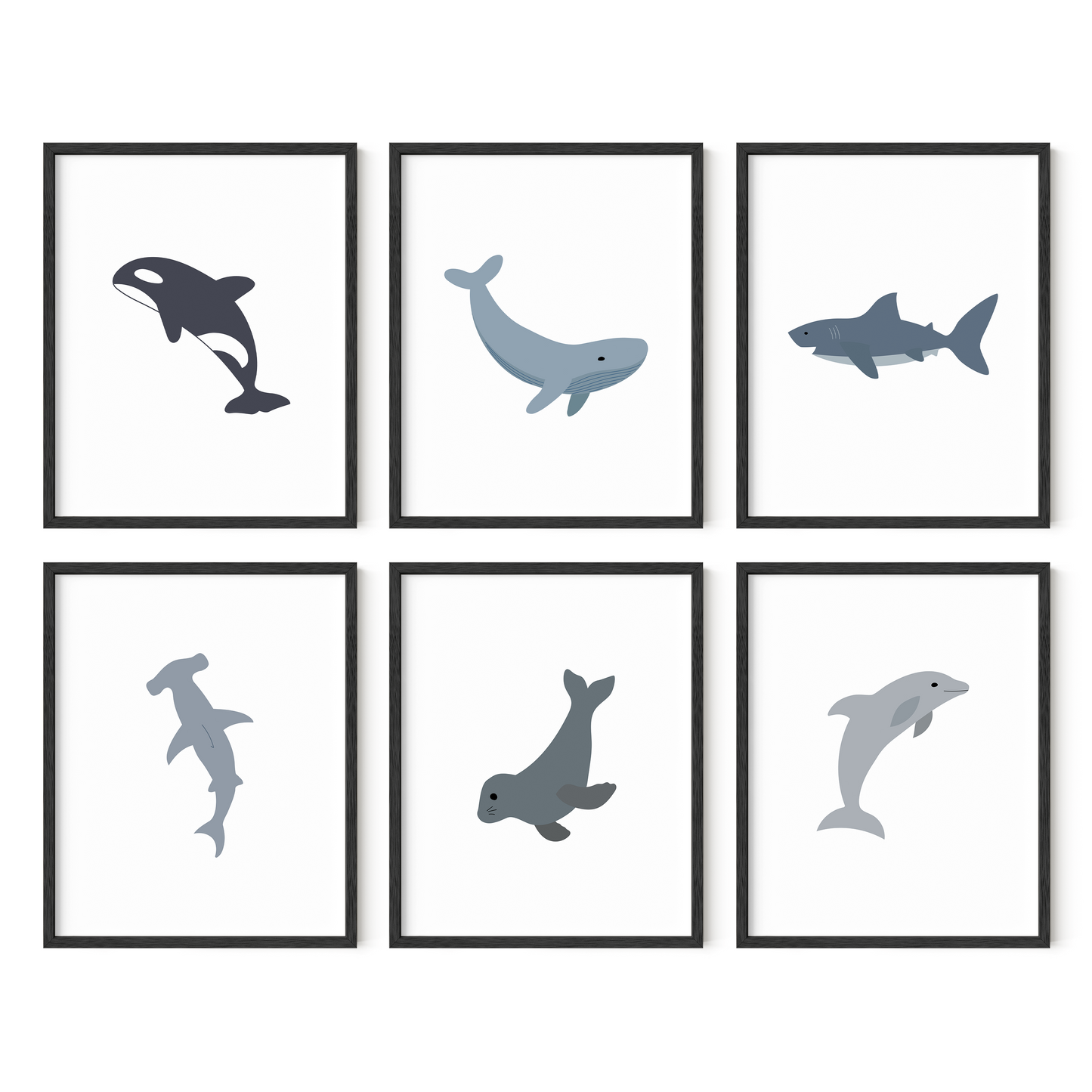 Six whale and shark pictures in black frames