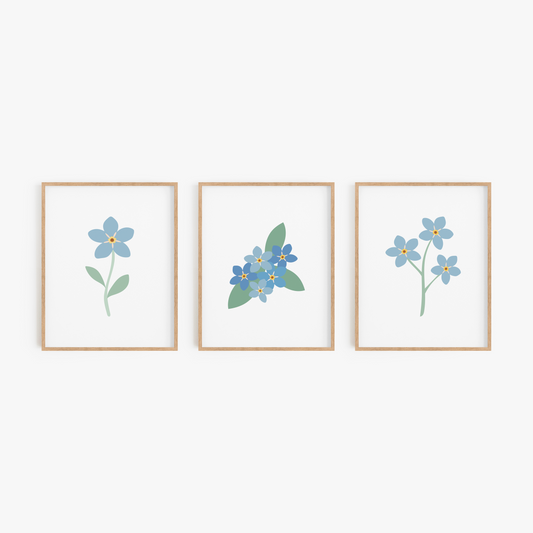 Forget-Me-Not Flower Art Prints (Set of 3)