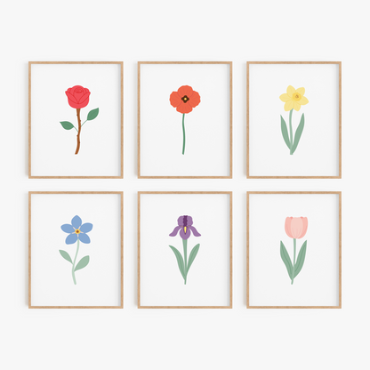 Colorful Floral Art Prints (Set of 6)