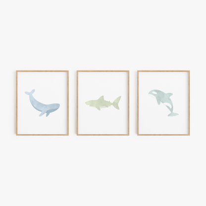 Blue whale shark and orca framed wall art